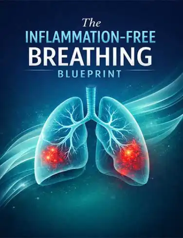 bonus 2 the inflammation free breathing blueprint